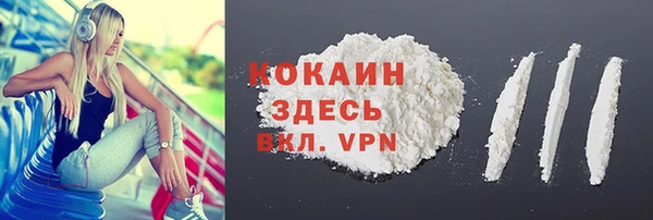 spice Алексин