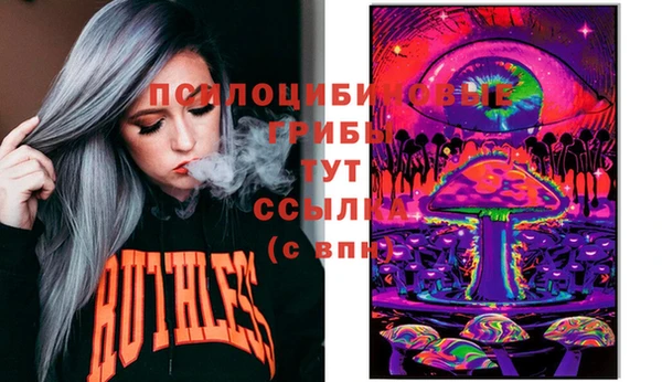 стаф Алзамай