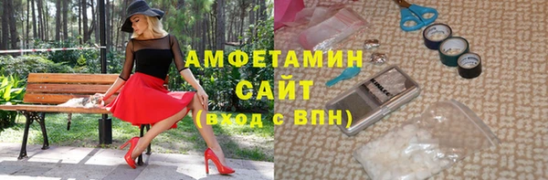 стаф Алзамай