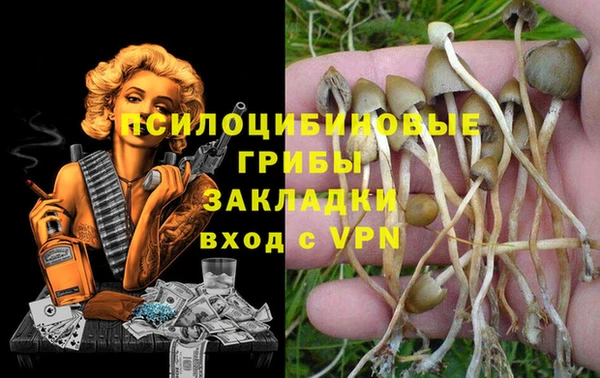 стаф Алзамай