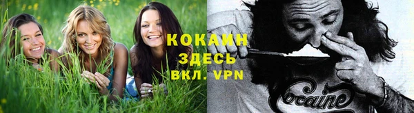spice Алексин