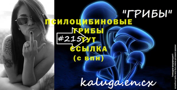 spice Алексин